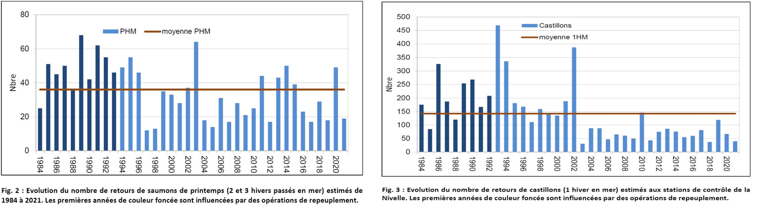Evolution du nombre de retour de PHM et castillons sur la Nivelle