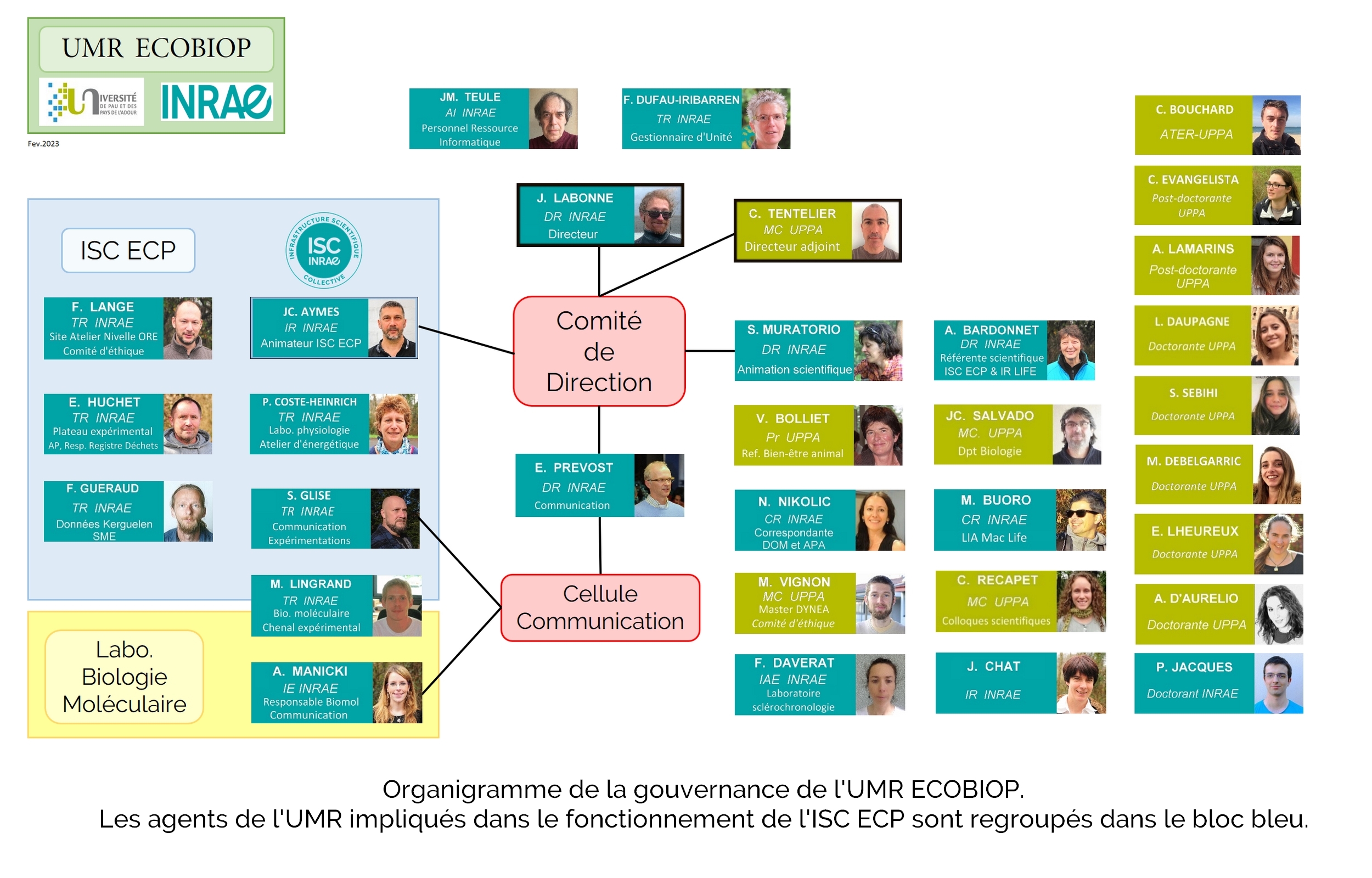 Organigramme UMR Ecobiop-fev 2023